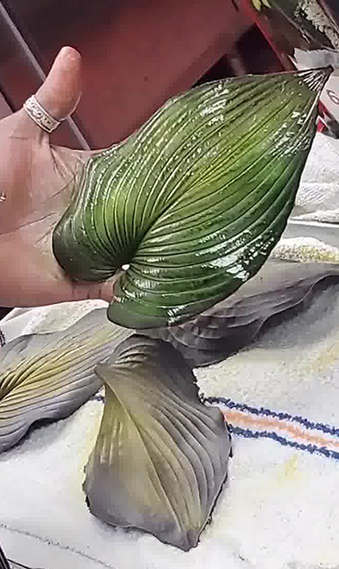 Creative Process & Production of Pastry Chef Anthony Smith