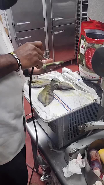 Creative Process & Production