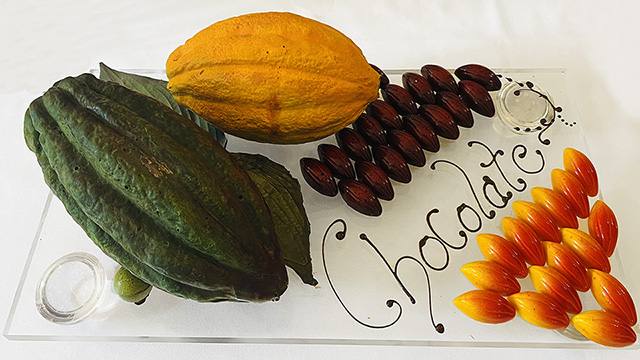 Cocoa pod chocolate sculpture