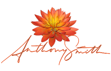Pastry Chef Anthony Smith signature logo orange airbrushed chocolate flower